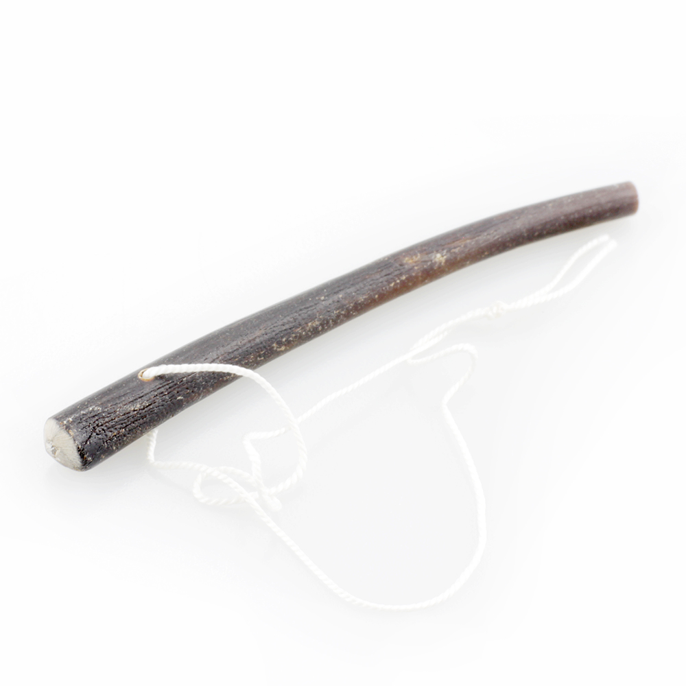 Laminaria