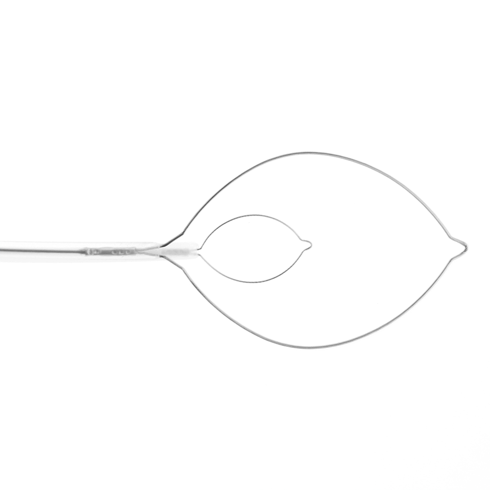 Asa Polipectomía Desechable Dolphin (10 mm)