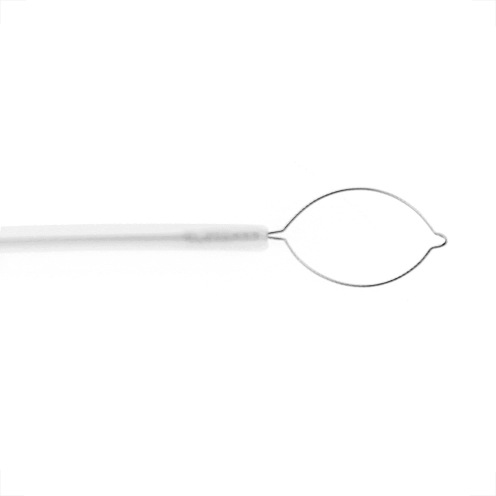 Asa Polipectomía Desechable Dolphin (10 mm) - Imagen 2